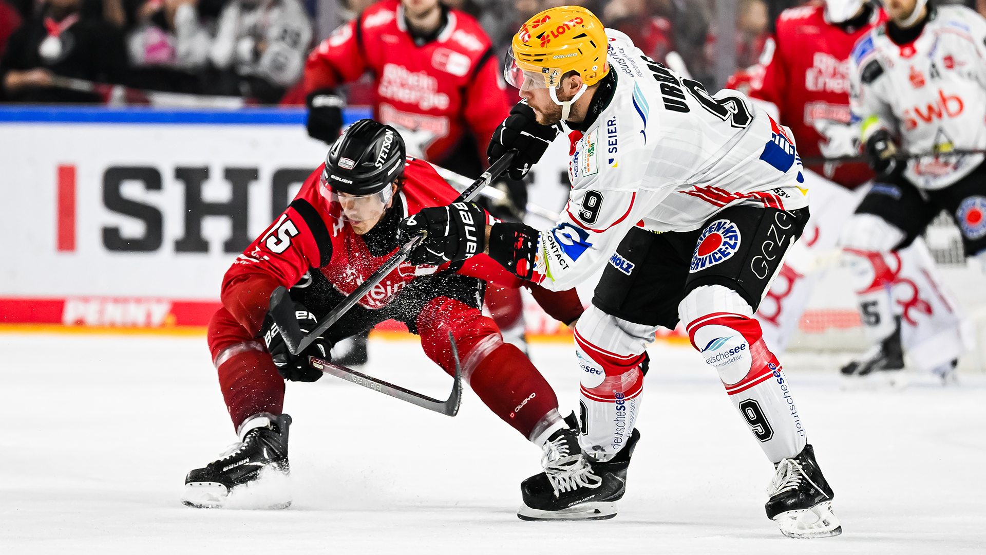 Kölner Haie gg. Pinguins Bremerhaven